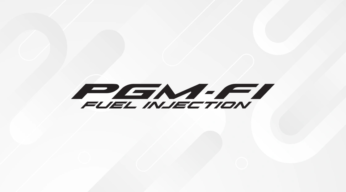 Intelligent PGM FI System